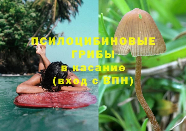 ALPHA PVP Беслан