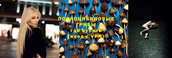 амф Богородск