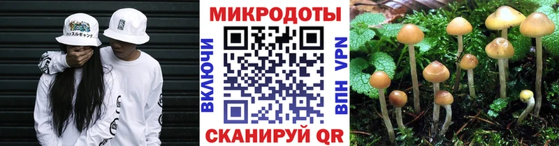 Галлюциногенные грибы MAGIC MUSHROOMS  как найти закладки  Верхоянск 